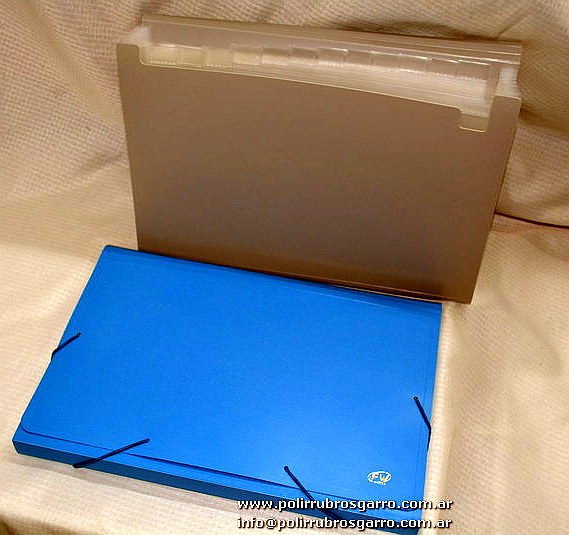 CLASIFICADOR FW OFICIO 12 DIVISIONES