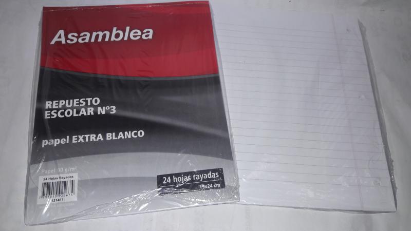 REPUESTO ASAMBLEA X 24 HS RAYADO