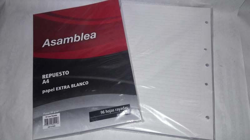 REPUESTO ASAMBLEA A4 5 PERF X 96HS RAYADO