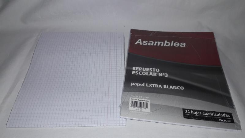 REPUESTO ASAMBLEA X 24 HS CUADRICULADAS