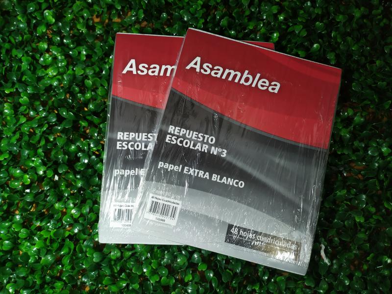 REPUESTO ASAMBLEA X 48 HS CUADRICULADO