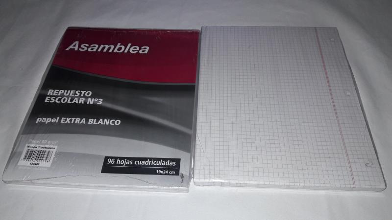 REPUESTO ASAMBLEA X 96HS CUADRICULADO