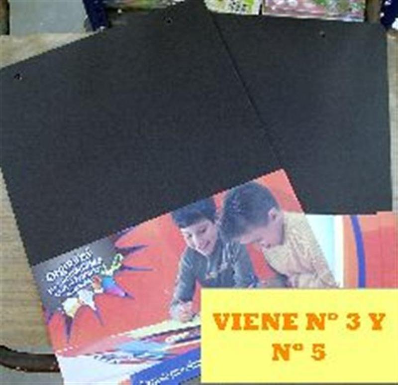 REPUESTO CANSON MIL 28  NEGRO Nº 5 X 5 HS