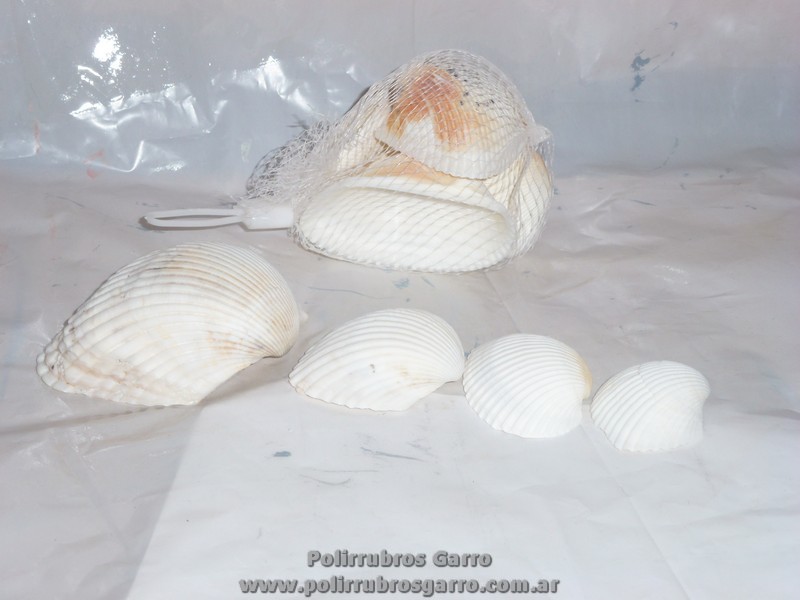 CARACOLES OSTRAS GRANDES RED