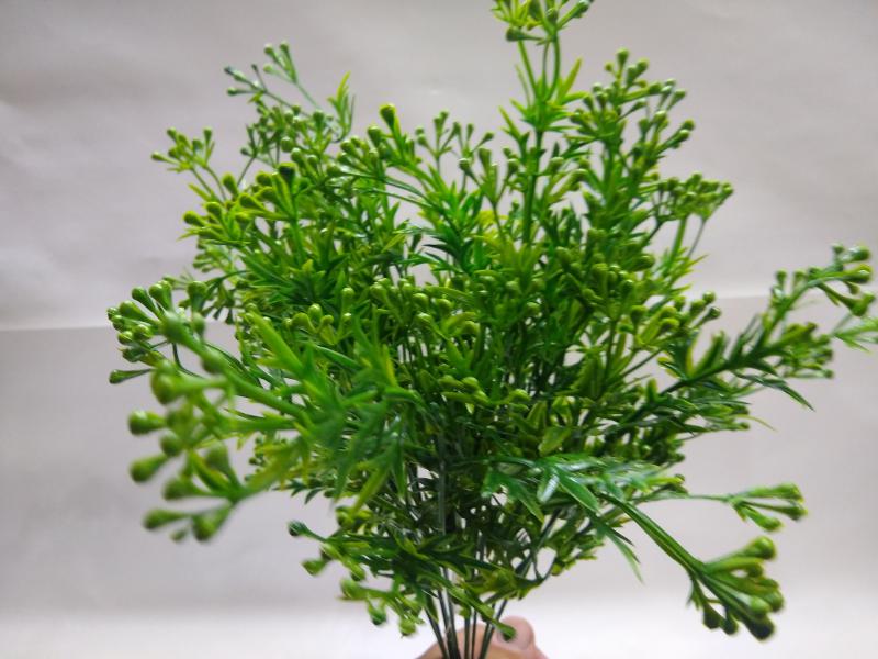 RAMO SIMIL HELECHO HOJA FINITAS