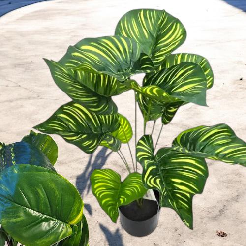PLANTA TIPO POTUS GIGANTE 50 CM -12 HOJAS*2 TONOS