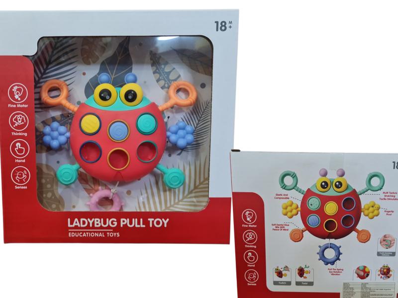 CANGREJO DIDACTICO PULLSTRING 20X20CM