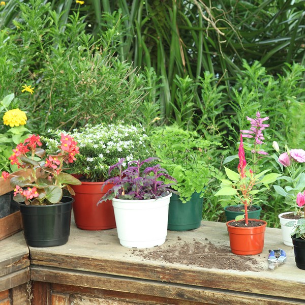 MACETA CLASICA PLAST Nº16 16X13CM