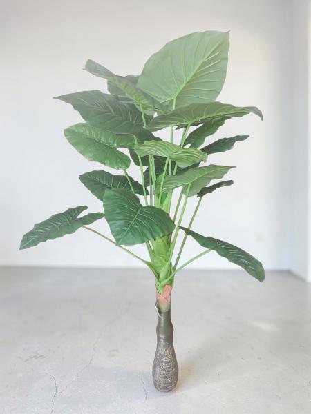 PLANTA HOJAS OREJA DE ELEFANTE 140 CM