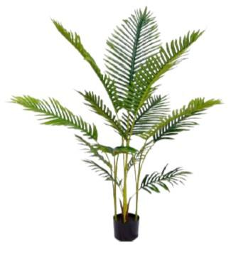 PALMERA PINDO X 3 UNID 130CM