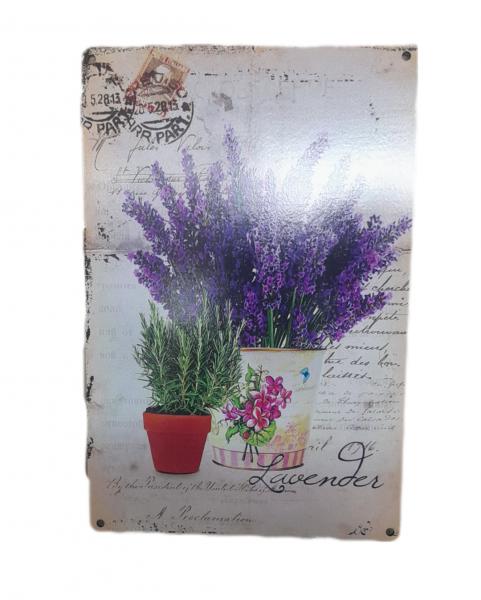 CUADRO FF SIMIL CHAPA LAVANDA/ROMERO 20X30CM