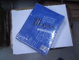 REPUESTO MAGISTERIO T/CARTA X 48 HS LISO